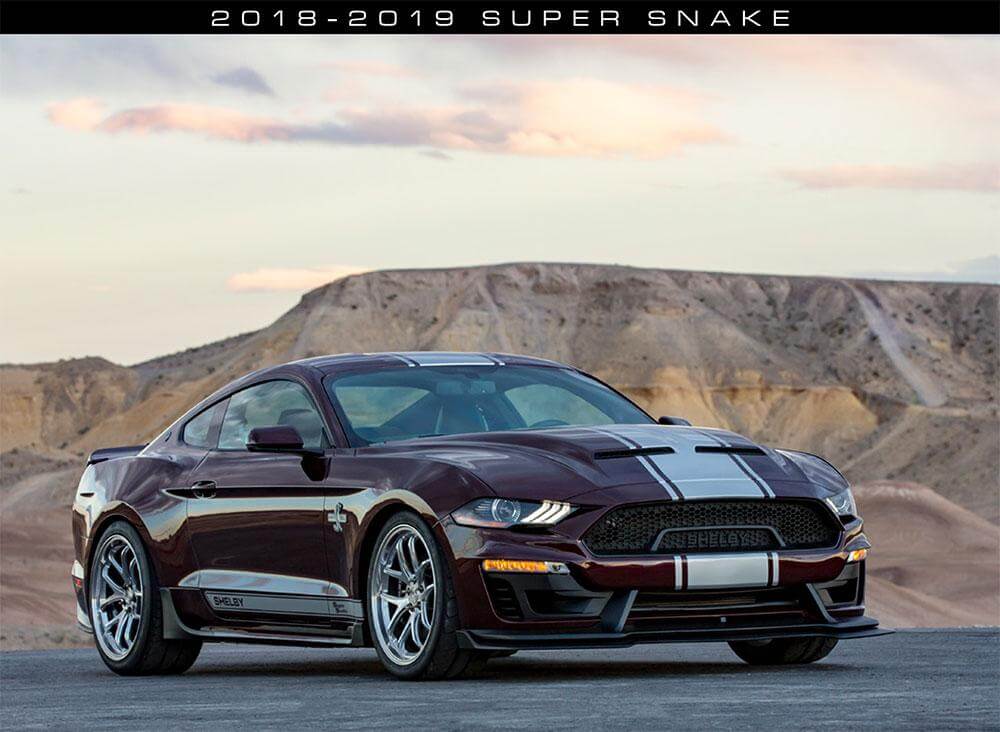THE 2018 2019 SUPERSNAKE IS HERE