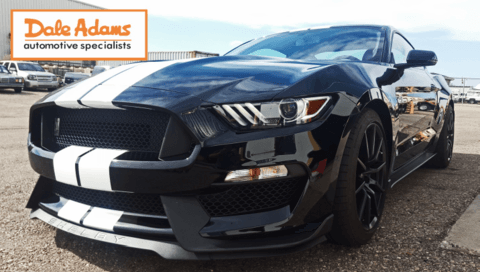 SHELBY WHIPPLE 875 HORSEPOWER READ ON IF YOU DARE