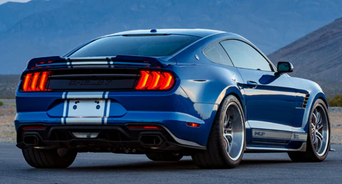 Shelby Backside