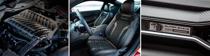 2025 Super Snake Engine, interior, etc | Dale Adams Automotive Specialists